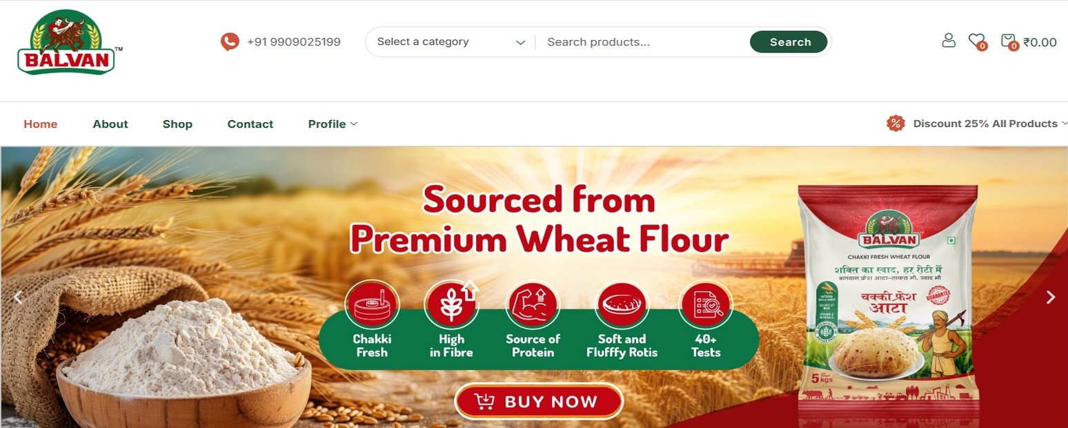 JSV Food International Website